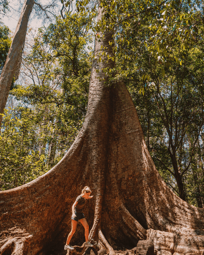 cat tien national park Vietnam